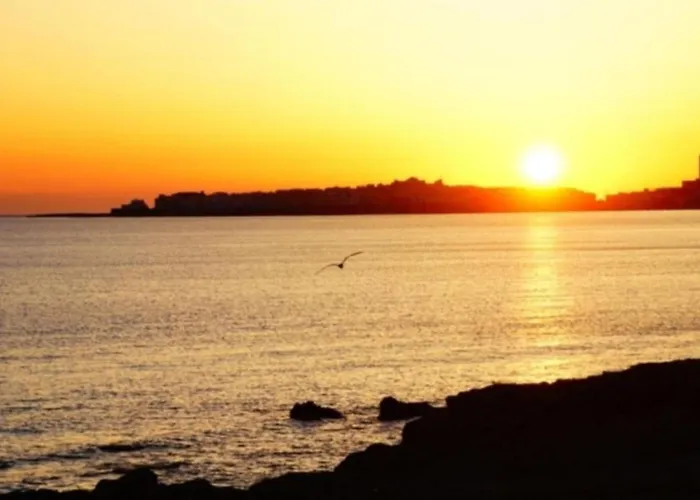 Comfortable Near The Apartment *