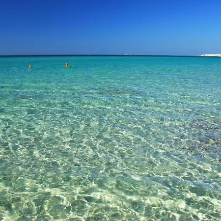 Comfortable Near The Apartment