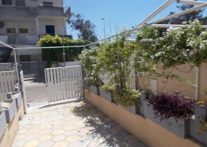 Comfortable Near The Daire