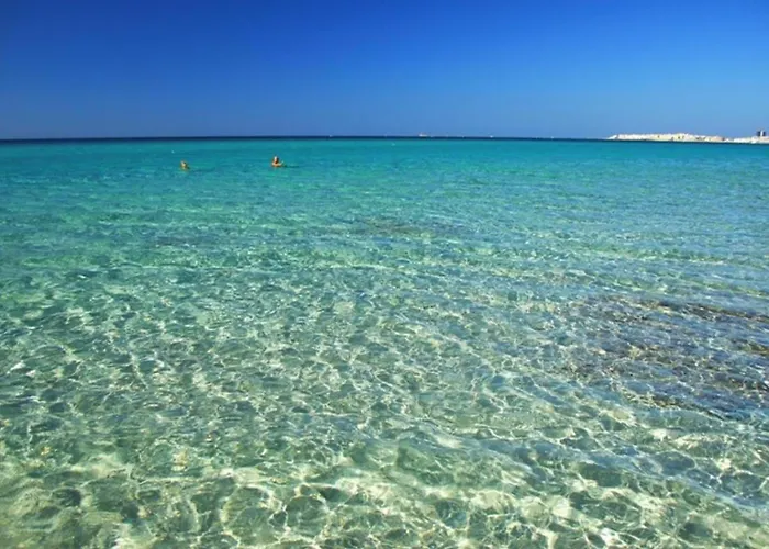 Comfortable Near The Daire